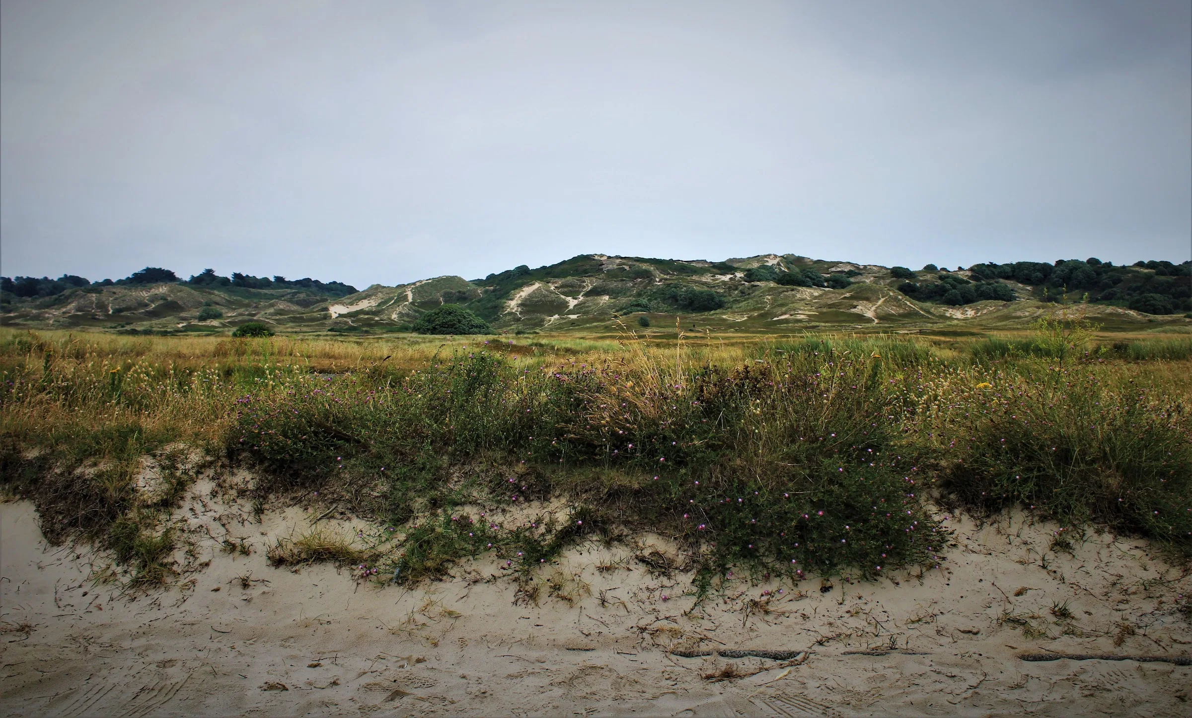Jersey National Park — Jersey
