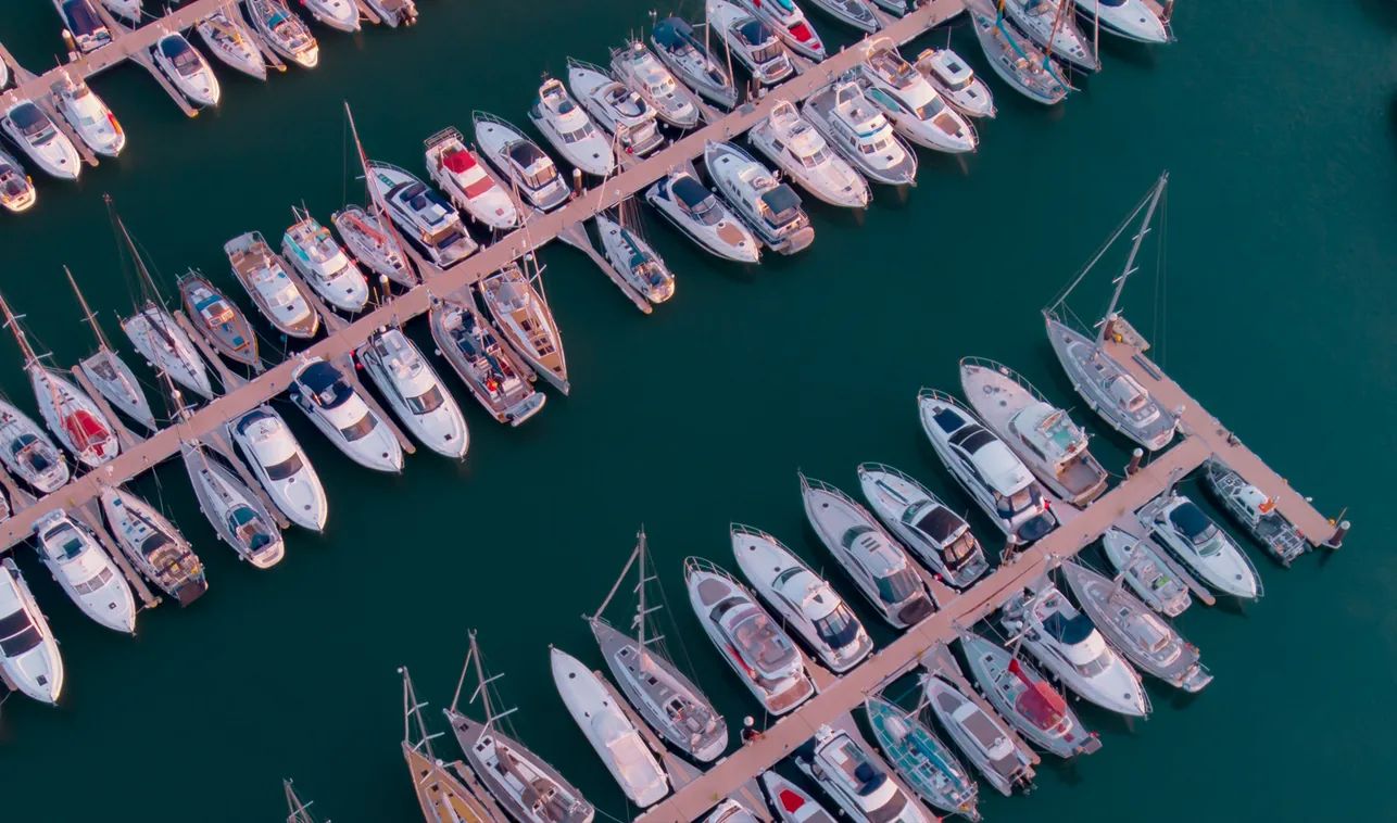 Morning in the marina