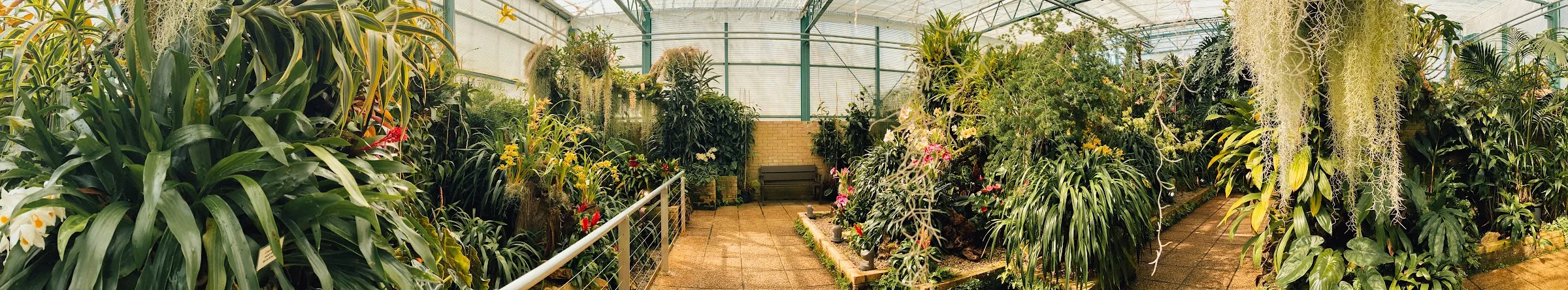 Eric Young Orchid Foundation — Jersey