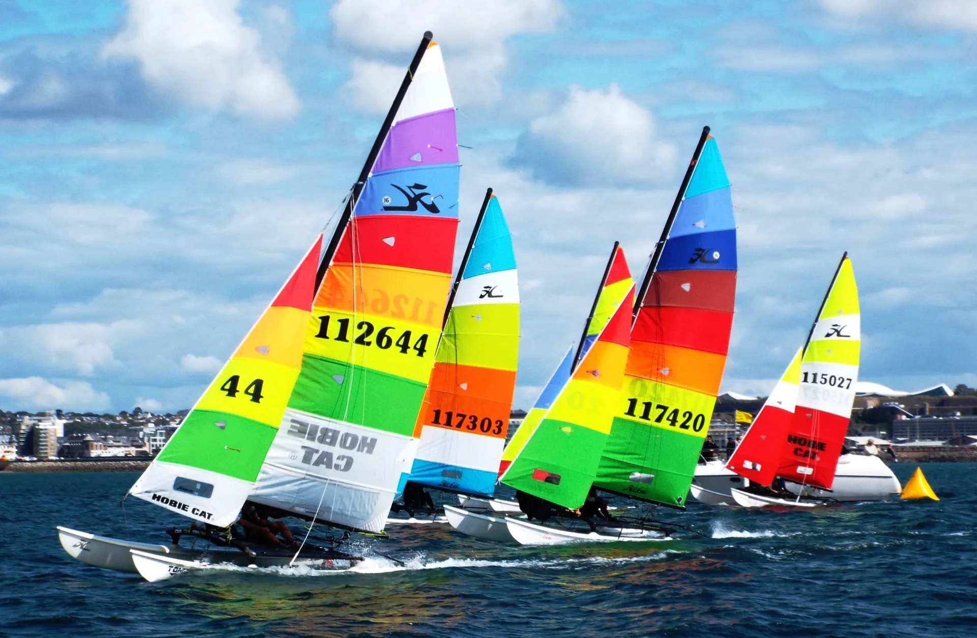 Butterfield Jersey Regatta