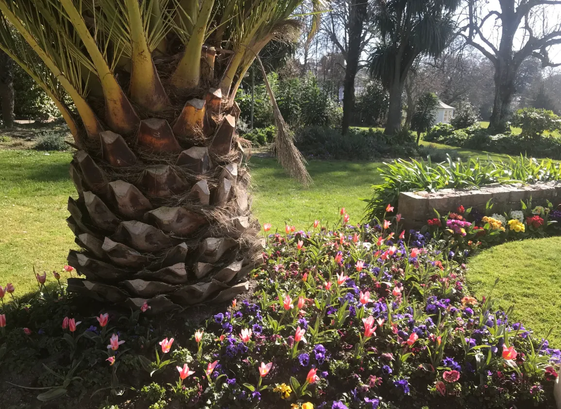 Howard Davis Park — Jersey