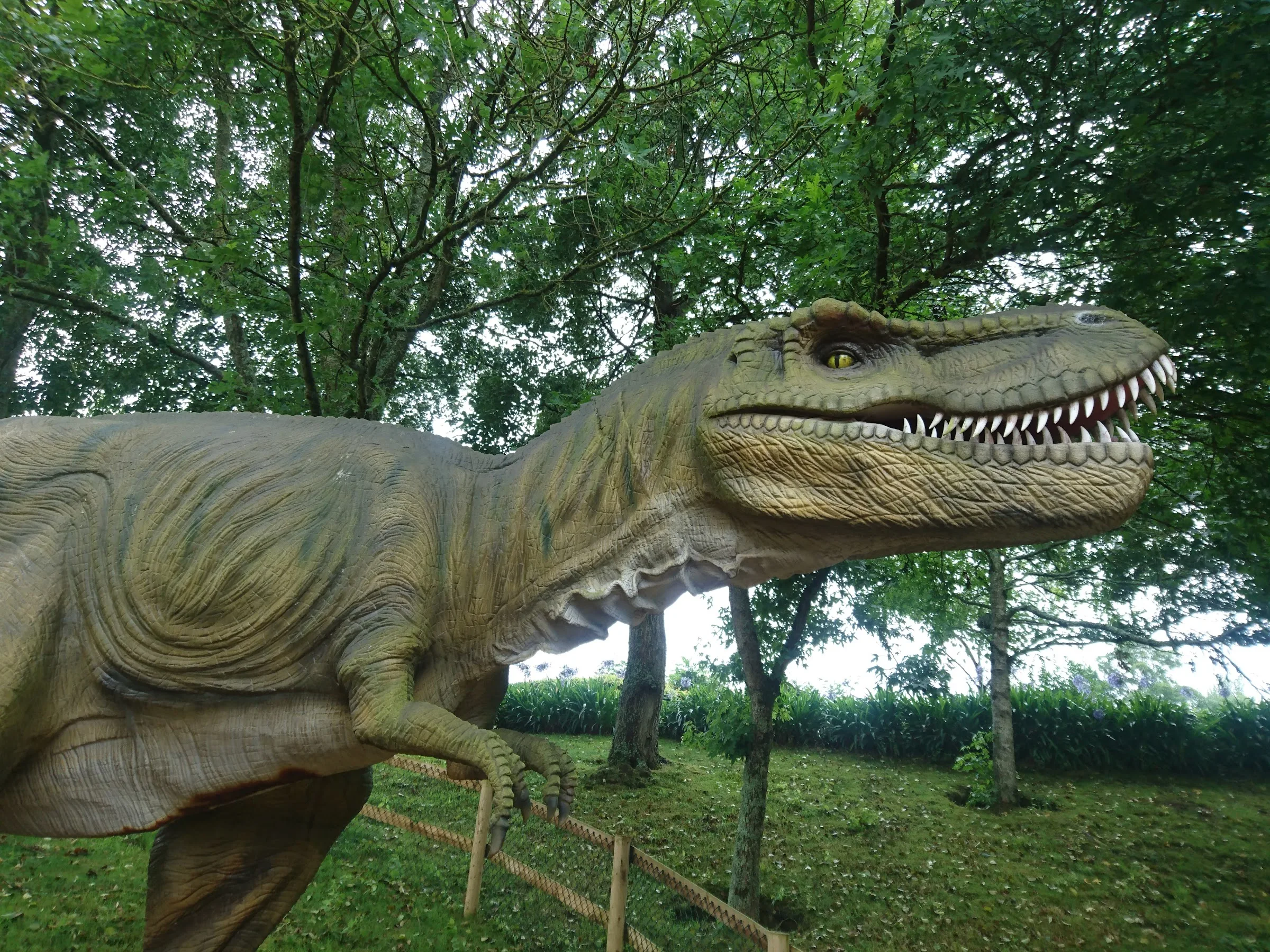 Tamba Park — Jersey