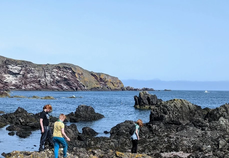 Rock pooling on the north and east coast — Jersey